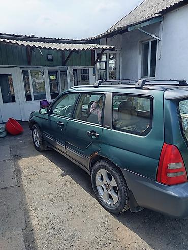 Транспорт: Subaru Forester: 2003 г., 2.5 л, Автомат, Газ, Кроссовер — 7