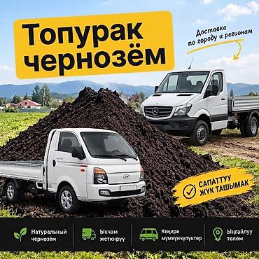 Портер