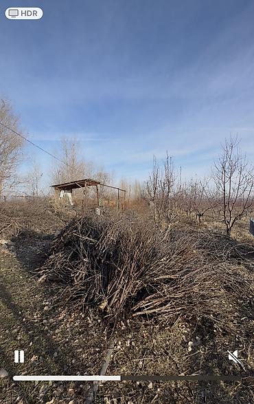 Продажа участков: 100 соток, Для бизнеса, Договор купли-продажи at lalafo.kg — 4 Продажа участков: 100 соток, Для бизнеса, Договор купли-продажи — 4