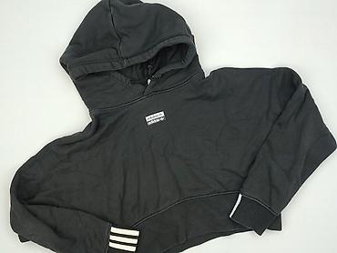terrex kurtka: Adidas, Bluza z kapturem damska, rozmiar XS — 1