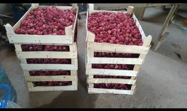 дом на иссык куле купить: 100 соток, Для сельского хозяйства, Договор купли-продажи