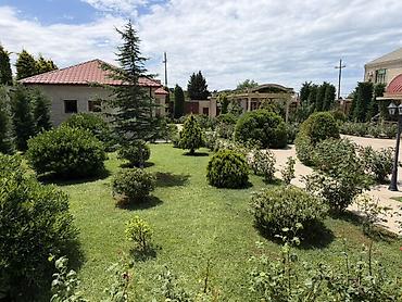 sekide: 6 otaqlı, 1000 kv. m, Kredit yoxdur, Yeni təmirli — 3