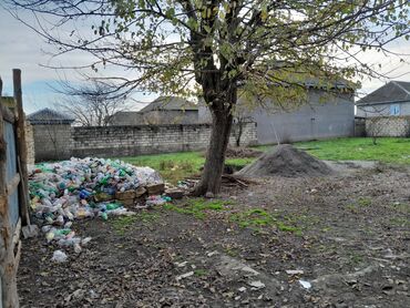 ev satislari: Liman, 52 kv. m, 2 otaqlı, Hovuzsuz, Qaz, İşıq, Artezian quyusu