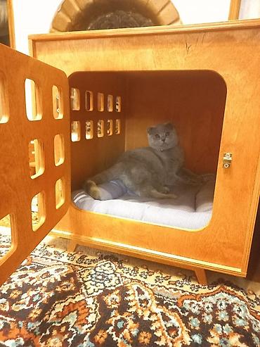 mops it: Taxta ev/kennel – pişiklər və balaca cins itlər üçün. - Material — 1