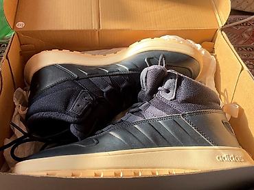 adidas boost: Мужские кроссовки, 39, Adidas, Новый, цвет - Синий — 1