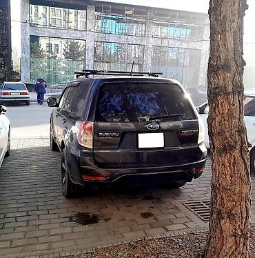 Subaru: Subaru Forester: 2009 г., 2.5 л, Механика, Бензин, Кроссовер — 1