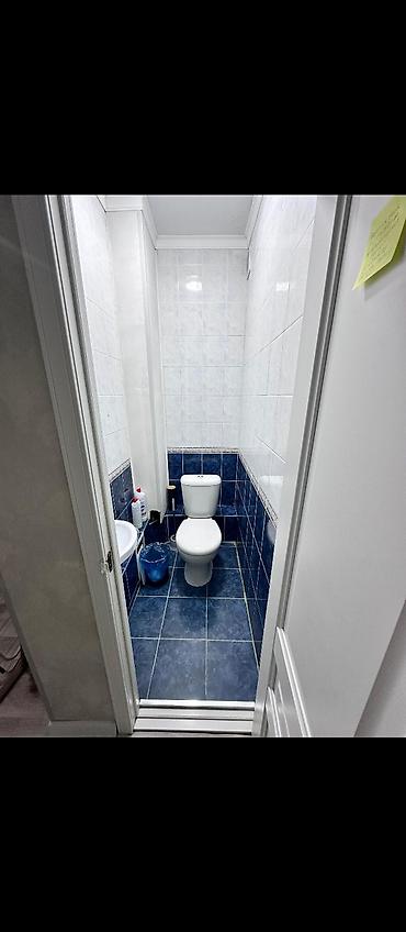 кызыл кия кыз: 3 бөлмө, Менчик ээси, Жаныбарлары жок, 1 айдан баштап, Жарым -жартылай эмереги бар — 4