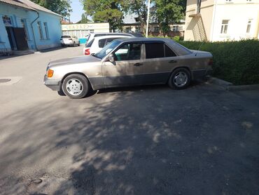 220 кузов: Mercedes-Benz 220: 1993 г., 2.2 л, Автомат, Газ, Седан
