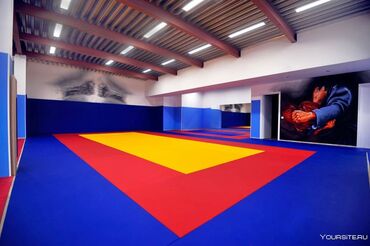 Другое для спорта и отдыха: Дзюдо татами Мат Мат Мат 1)Дзюдо маты 2)Маты борцовские UWW — 5