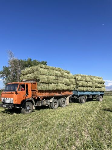Грузовики: Грузовик, Камаз, Стандарт, Б/у — 9