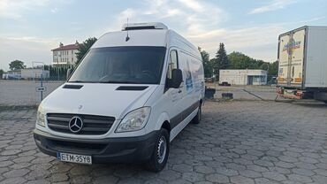 бус холодильник: Mercedes-Benz Sprinter: 2010 г., 2.2 л, Механика, Дизель, Бус