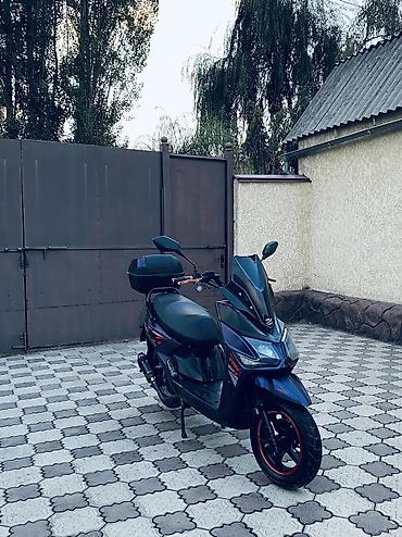 Скутеры: 🔥 SAMURAI BENALI 180 КУБОВ 🔥 Продаю свой Samurai Benali 180cc в — 42