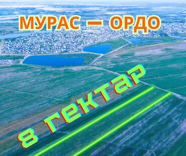 дом на иссык куле купить: 800 соток, Айыл чарба үчүн, Сатып алуу-сатуу келишими