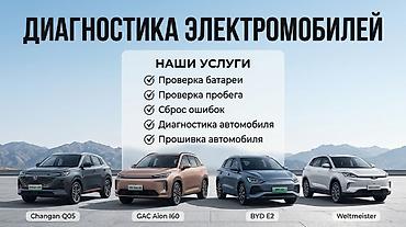 ГОРОД ЖАЛАЛ-АБАД/МАНАС ДИАГНОСТИКА ЭЛЕКТРОМОБИЛЕЙ -Проверка пробега