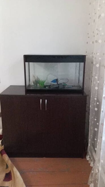 рыба балык: Продаю аквариум на 100литров и тумбу специально сделанную под аквариум