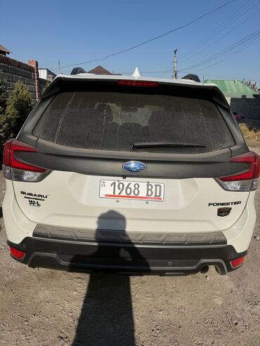 Subaru: Subaru Forester: 2022 г., 2.5 л, Автомат, Бензин, Кроссовер — 4