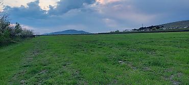 Torpaq sahələrinin satışı: Kənd təsərrüfatı — 9