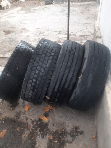 хова бортовой: Шины 235 / 75 / R 17.5, Комплект, Грузовики/Автобусы