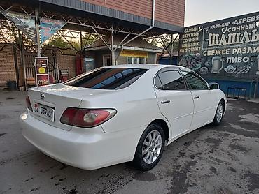 руль виндом: Toyota Windom: 2003 г., 3 л, Автомат, Бензин, Седан — 2