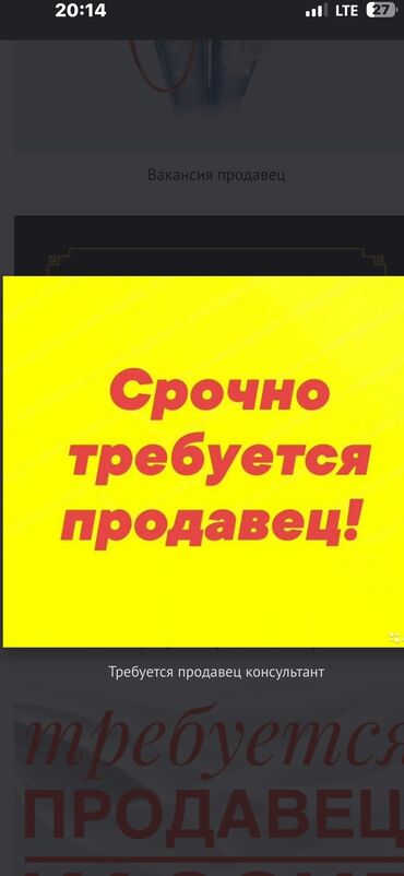 ищу работу спринтер холодильник: Сатуучу консультант