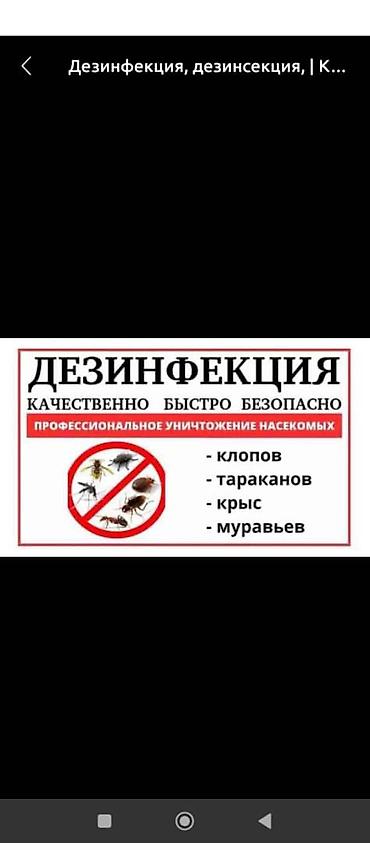 чистка батареи отопления: Профессиональная дезинфекция и дезинсекция - Уничтожение всех видов — 8