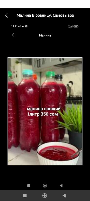 бытовая химия оптом со склада бишкек: Малина В розницу