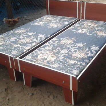Ev və bağ Masallıda: Yeni