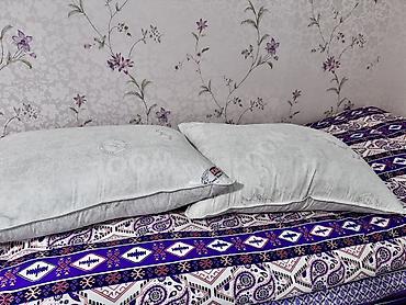 Balışlar, yastıqlar: Qaz tükü yastıqlar 6 ədəd işlənməyiblər — 1