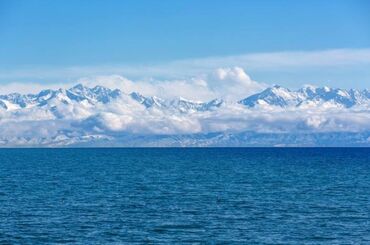 село байтик участок: 100 соток, Бизнес үчүн, Кызыл китеп