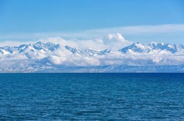 срочно сниму комнату с подселением: 5 соток, Курулуш, Кызыл китеп