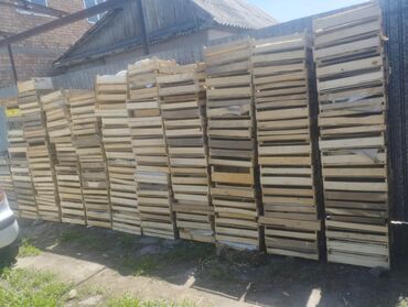комур кара кече бишкек: Поддон Айыл чарба өнөр жайы үчүн, Бар