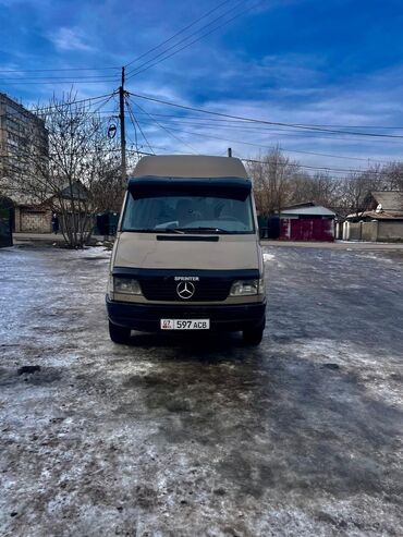 рефрижератор спринтер: Mercedes-Benz Sprinter: 1998 г., 2.9 л, Механика, Дизель, Van