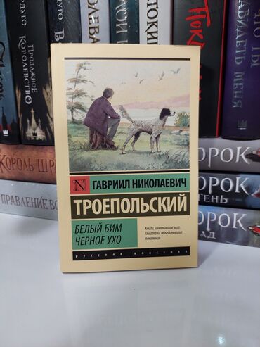 Bədii ədəbiyyat: Rus dilində klassik və müasir ədəbiyyat toplaması – müxtəlif müəllif — 12