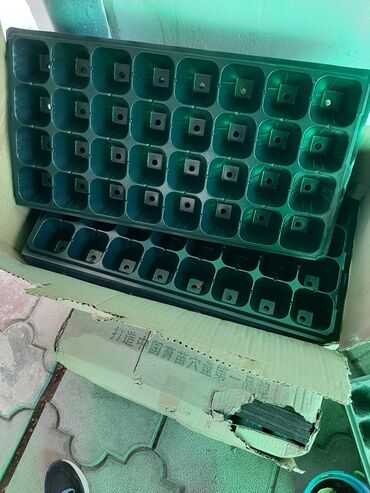 фарель бишкек: Продаю кассеты для рассады клубники и малины размер 6см×6см глубина
