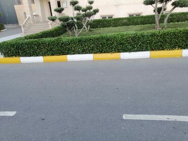 Landşaft işləri: Salam aleykum Adim Sahib 44yaşim var Bakida yaşayiram Gündelik olaraq — 25