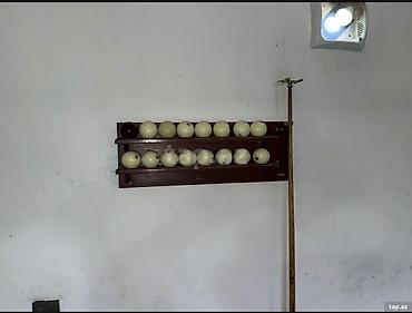 bilyard mini: Bilyard masası və tam dəst İki ölçüdə seçim: - Balaca ölçü: 3.1 m — 7