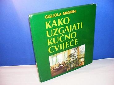 divna maric: Kako uzgajati kućno cvijeće - gigliola magrini zagreb 1974 stvarost — 1