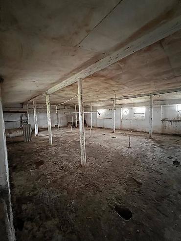 Kommersiya daşınmaz əmlakının satışı: 🔹 Satılır: Ferma – Xudat, Ləcət kəndi 🔹 ✅ Unikal fürsət! Xudat-Yalama — 11