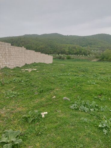 Torpaq sahələrinin satışı: 31 sot, Kənd təsərrüfatı, Kupça (Çıxarış) -da lalafo.az — 7 Torpaq sahələrinin satışı: 31 sot, Kənd təsərrüfatı, Kupça (Çıxarış) — 7