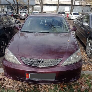 тоета карина 2: Toyota Camry: 2004 г., 2.4 л, Автомат, Бензин, Седан