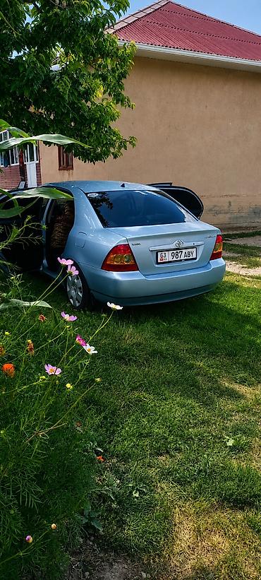 мтз ош: Toyota Corolla: 2004 г., 1.6 л, Кол менен иштөөчү, Бензин, Седан — 2