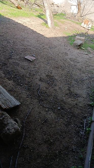 Torpaq sahələrinin satışı: Tikinti — 7