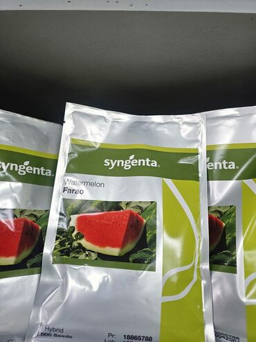 Овощи: Семена овощей: Помидоры, Огурцы, Лук, Самовывоз, Бесплатная доставка, Платная доставка — 25