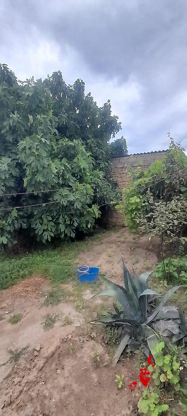 bine sovxoz: Buzovna qəsəbəsində həyət evi satılır. Torpağın və evin kupçası var — 3