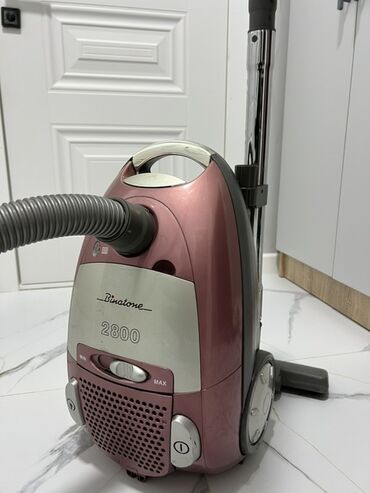 пилисос: Чаң соргуч, Стандарттык, Кургак, Кап