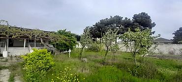 Torpaq sahələrinin satışı: Tikinti, Kupça (Çıxarış) — 4