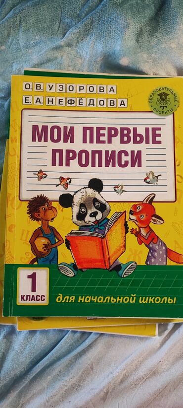 книга python: Прописи "Мои первые прописи" для 1 класса начальной школы