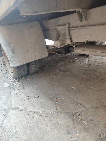 e6 3: Ford Transit: 1989 г., Механика, Фургон — 5