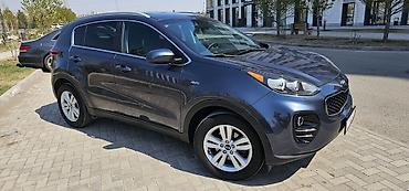 byd e2 2024: Kia Sportage: 2016 г., 2.4 л, Автомат, Бензин, Кроссовер — 3