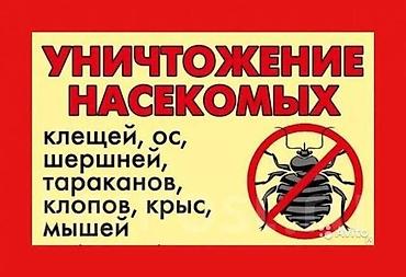 талоны: Дезинфекция, дезинсекция, | Муравьи, Блохи, Вирусы, микробы, | Кафе, магазины, Квартиры, Подъезды — 10